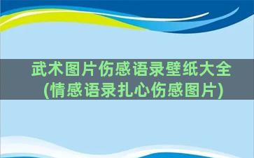 武术图片伤感语录壁纸大全(情感语录扎心伤感图片)