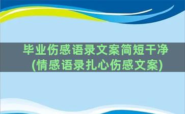 毕业伤感语录文案简短干净(情感语录扎心伤感文案)