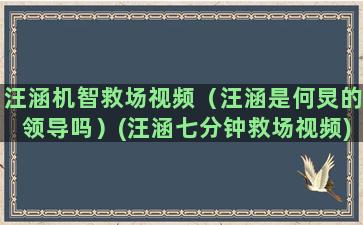 汪涵机智救场视频（汪涵是何炅的领导吗）(汪涵七分钟救场视频)