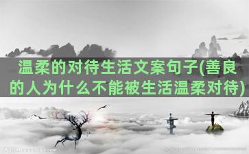 温柔的对待生活文案句子(善良的人为什么不能被生活温柔对待)