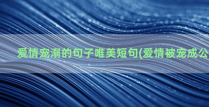 爱情宠溺的句子唯美短句(爱情被宠成公主的句子)