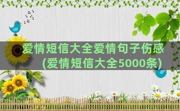 爱情短信大全爱情句子伤感(爱情短信大全5000条)