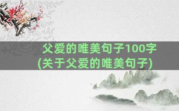 父爱的唯美句子100字(关于父爱的唯美句子)