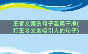 王者文案的句子温柔干净(打王者文案吸引人的句子)