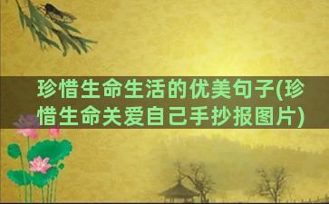 珍惜生命生活的优美句子(珍惜生命关爱自己手抄报图片)