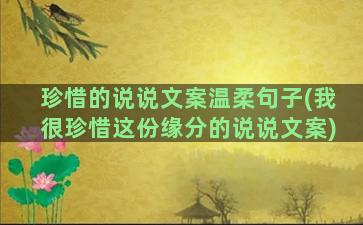 珍惜的说说文案温柔句子(我很珍惜这份缘分的说说文案)