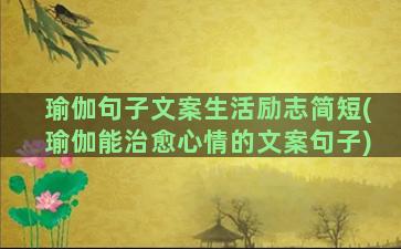 瑜伽句子文案生活励志简短(瑜伽能治愈心情的文案句子)