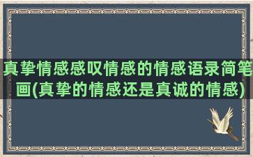 真挚情感感叹情感的情感语录简笔画(真挚的情感还是真诚的情感)