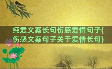 纯爱文案长句伤感爱情句子(伤感文案句子关于爱情长句)