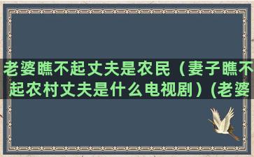 老婆瞧不起丈夫是农民（妻子瞧不起农村丈夫是什么电视剧）(老婆瞧不起你的表现)