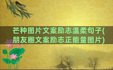 芒种图片文案励志温柔句子(朋友圈文案励志正能量图片)