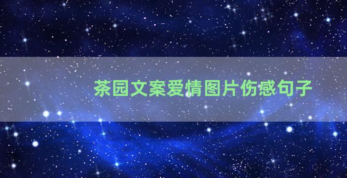 茶园文案爱情图片伤感句子