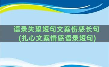 语录失望短句文案伤感长句(扎心文案情感语录短句)