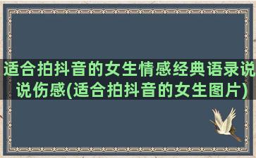 适合拍抖音的女生情感经典语录说说伤感(适合拍抖音的女生图片)