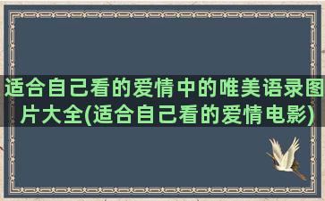 适合自己看的爱情中的唯美语录图片大全(适合自己看的爱情电影)