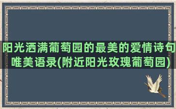 阳光洒满葡萄园的最美的爱情诗句唯美语录(附近阳光玫瑰葡萄园)