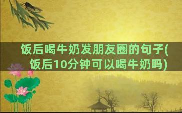 饭后喝牛奶发朋友圈的句子(饭后10分钟可以喝牛奶吗)